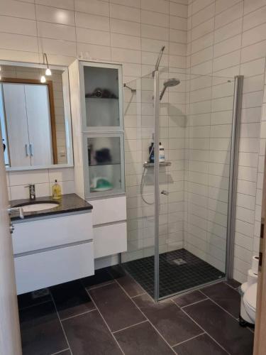 a bathroom with a shower and a sink at Day Dream Laugavegur Downtown Apartments in Reykjavík