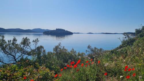 a view of a large body of water with red flowers at Apartments Valentina Tisno in Tisno