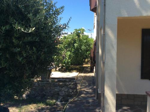 La fourmi photo 15