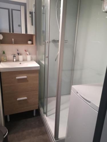 une salle de bain avec douche et lavabo dans l'établissement l'orée du lac, à Talmont-Saint-Hilaire