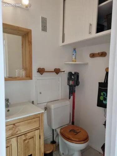 une petite salle de bain avec toilettes et lavabo dans l'établissement Studio centre Super-Besse, à Besse-et-Saint-Anastaise