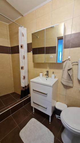 a bathroom with a sink and a toilet and a mirror at Apartments Valentina Tisno in Tisno