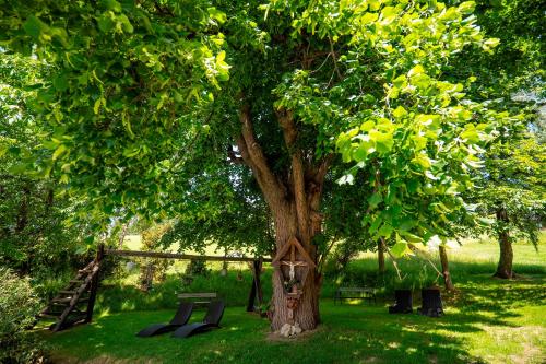 a park with a tree and a bench and a swing at Hotel Schwengerer in Mönichwald
