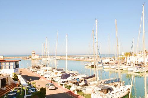 Gallery image of EXPOHOLIDAYS - Galeon PUERTO DEPORTIVO in Almerimar