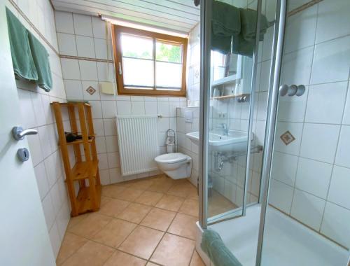 a bathroom with a shower and a toilet and a sink at The Moosbach Garden in Nordrach