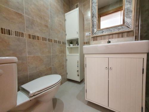 La salle de bains est pourvue de toilettes, d'un lavabo et d'un miroir. dans l'établissement Costa Azahar II Nº 1033, à Oropesa del Mar
