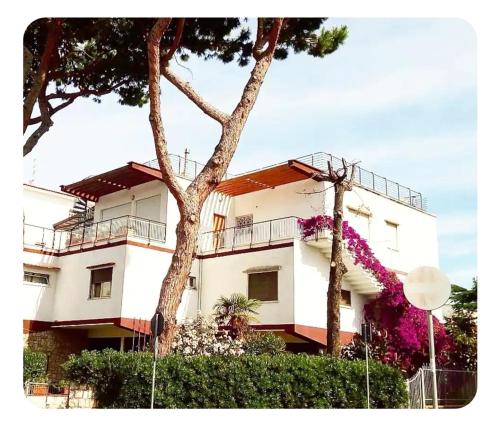 a white building with a tree in front of it at VILLA AZZURRA in Gaeta