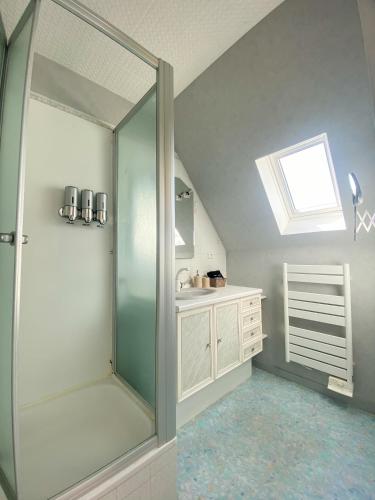 une salle de bain avec douche et lavabo dans l'établissement Black Rock Champagne, à Moussy