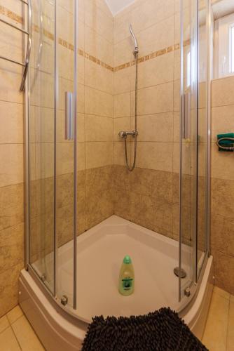 a bath tub with a shower with a glass door at Apartments Stašić Katarina in Soline