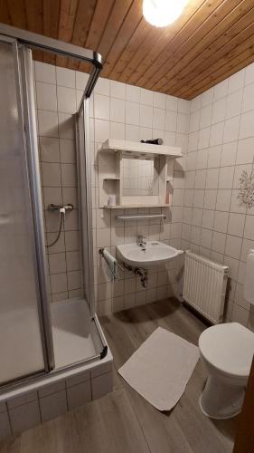 ヴェルタハにあるLandhaus Sonnwinklのシャワー、洗面台、トイレ付きのバスルーム