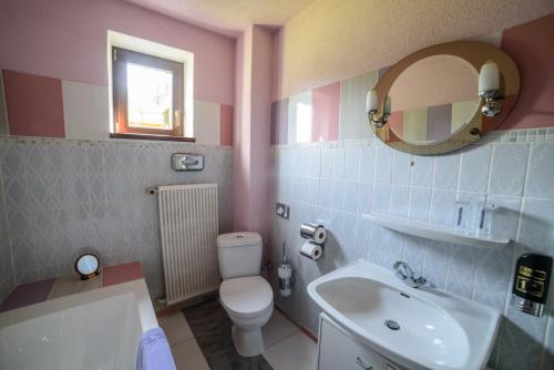 a bathroom with a sink and a toilet and a mirror at Pension Arberwald in Bayerisch Eisenstein