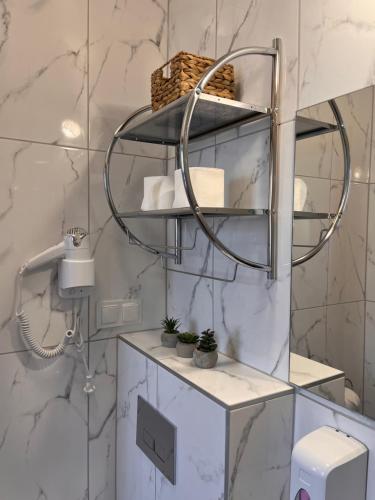 a bathroom with a sink and a shelf with plants at Apartamenty Wilczyńskiego in Olsztyn