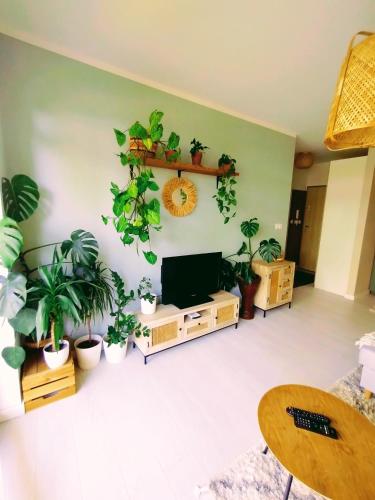 Boho House Klimatyczne mieszkanie z ogródkiem w pobliżu plaży