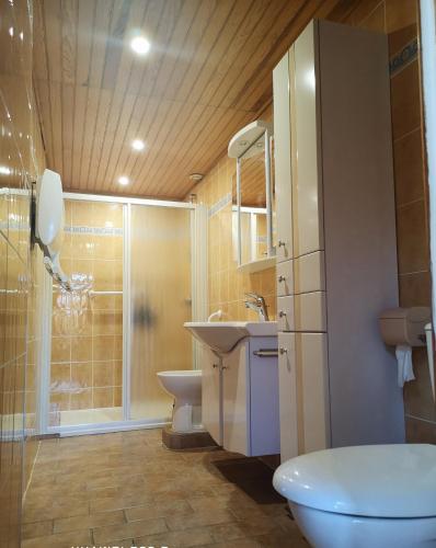 une salle de bain avec un lavabo, des toilettes et une douche dans l'établissement '' la crossette '' Charmante maison dans quartier calme, à Béziers