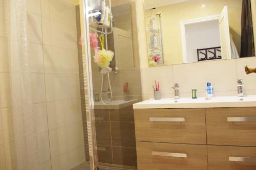 une salle de bain avec douche et lavabo dans l'établissement Appart 6 Couchages proche centre, grande terrasse, à Nice