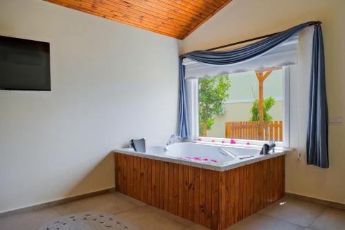 TV a/nebo společenská místnost v ubytování Larimar Suite Hotel