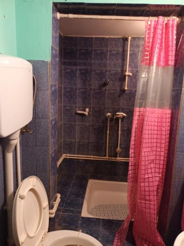a bathroom with a toilet and a bath tub at Vanila in Leskovac