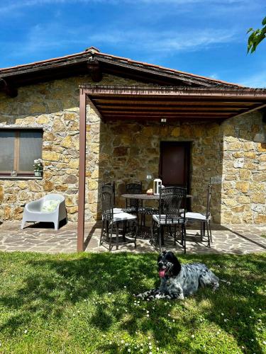 a dog laying in the grass in front of a stone house at Il Villino del Daino - Toscana in Loro Ciuffenna
