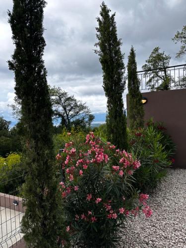 a garden with two trees and pink flowers at Residence Spa Apartments DUB in Kotor