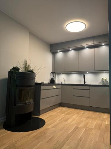 A kitchen or kitchenette at Central apartment in Frogner