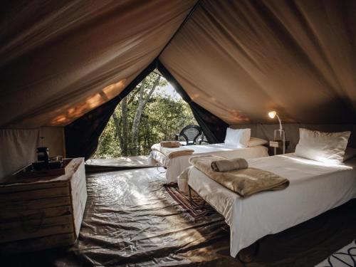 a group of three beds in a tent at Firefly Falls in Plettenberg Bay