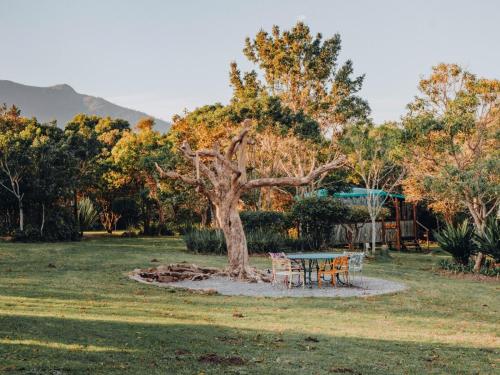 a table and chairs under a tree in a field at Firefly Falls in Plettenberg Bay