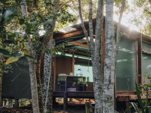 a house in the woods with trees at Firefly Falls in Plettenberg Bay