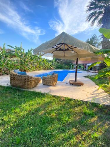 Giardino di Sunyear Guest Houses 2