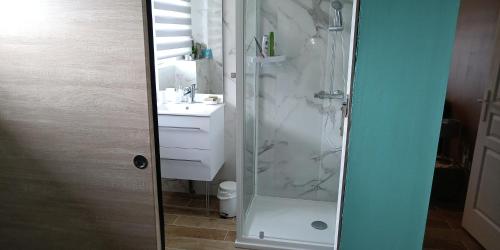 ein Bad mit einer Dusche und einem Waschbecken in der Unterkunft Villa d exception 3 étoiles in Clermont