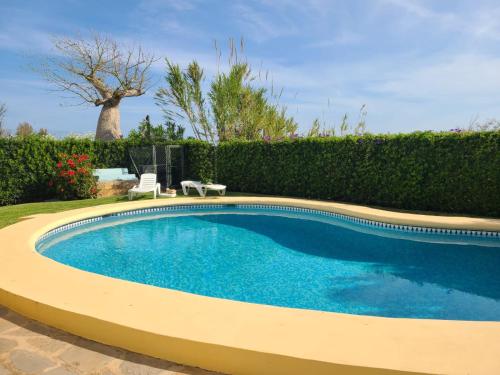 a swimming pool in a yard with a tree at Sol y Mar in Oliva