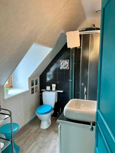 La salle de bains mansardée est pourvue de toilettes et d'un lavabo. dans l'établissement Appart'hotel Maison Saint Michel, à Paimpol