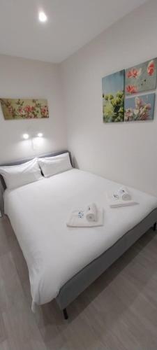 Why Not Houses Centro