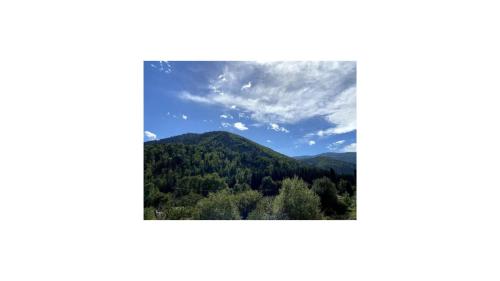 a picture of a mountain with trees and a blue sky at Le Loft, chambre triple - Gîte de la Louve in Fougax-et-Barrineuf