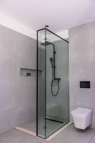 a bathroom with a glass shower with a toilet at Tufaha Resort in Nanyuki