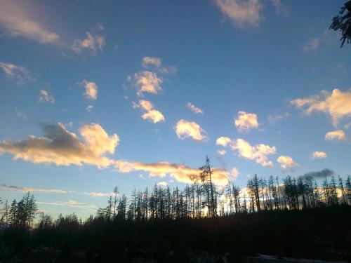 a sky with trees and clouds in the sky at Erika penzión in Vysoké Tatry