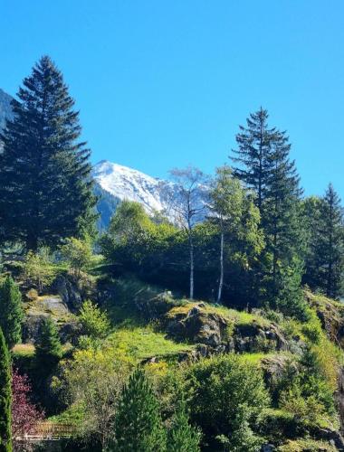 a hillside with trees and a mountain in the background at Haus Marinus in Jerzens