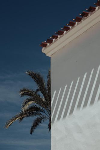 a white building with a palm tree behind it at Los Bungalows Del Arenal in Jávea