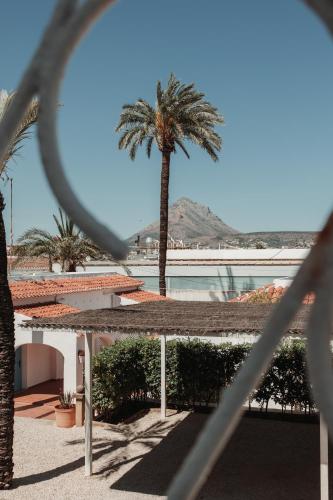 a view of a palm tree and a building at Los Bungalows Del Arenal in Jávea