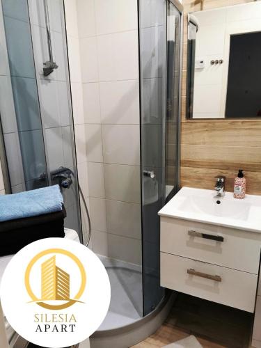 a bathroom with a shower and a toilet and a sink at Apartament Ceglany in Tychy