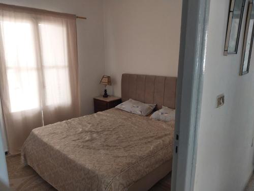 sypialnia z łóżkiem i oknem w obiekcie L'escale w mieście Tunis