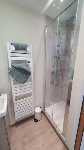 une salle de bain avec douche et lavabo dans l'établissement le petit monnet, à Moyaux