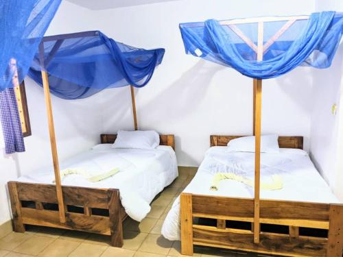 Domus Aurea Safaris