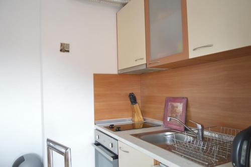 a kitchen with a sink and a dish drying rack at Persey Flora Apartments in Borovets