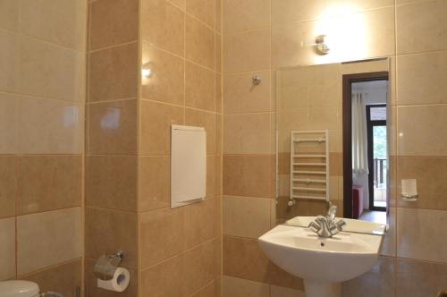 a bathroom with a sink and a mirror at Persey Flora Apartments in Borovets