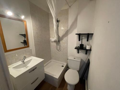 une salle de bain avec un lavabo, des toilettes et un miroir dans l'établissement Roza, Studio proche centre ville, à Caen