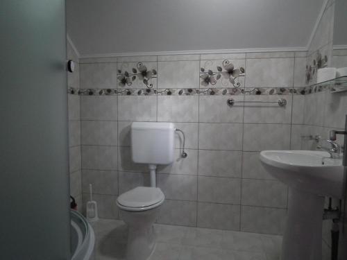 a bathroom with a toilet and a sink at Vila Moecel in Moieciu de Sus
