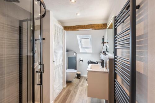 a bathroom with a toilet and a sink at Eichendorff Loft in Nordhausen