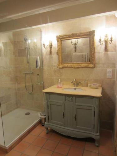 une salle de bain avec un lavabo et une douche avec un miroir dans l'établissement Gîte de charme aux portes de Périgueux, à Champcevinel