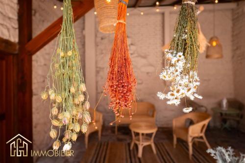 a group of chandeliers hanging in a room at Chez Hansi & Emmy - Gueberschwihr in Gueberschwihr