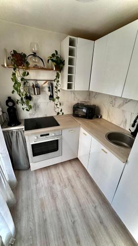 une cuisine avec des armoires blanches et un évier dans l'établissement Studio cosy centre-ville/mer, au Havre